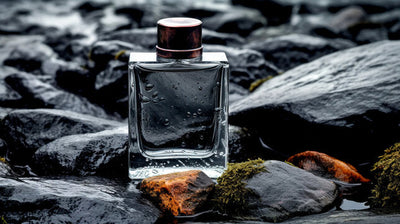 Men Fragrances